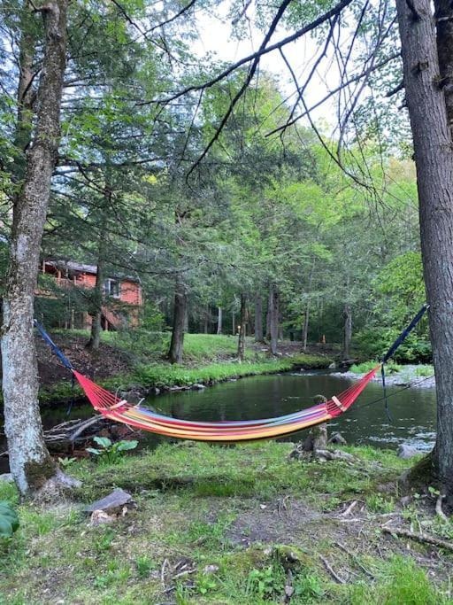 Peaceful Gateway To Island Creek Ferienhaus *