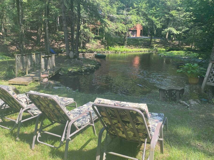 Peaceful Gateway To Island Creek *