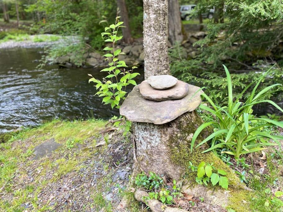 Peaceful Gateway To Island Creek Ferienhaus